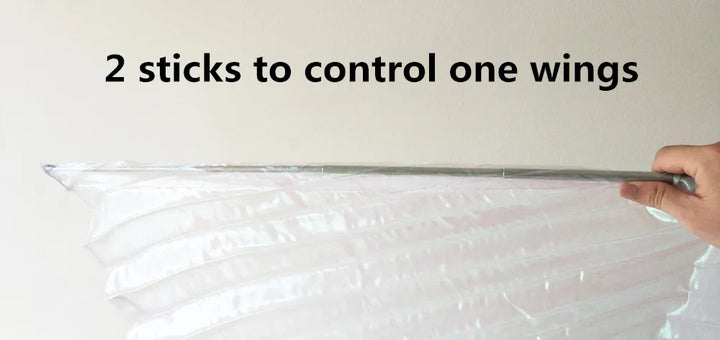 Ailes d'Isis Danse Belly Dance pour enfant et adulte