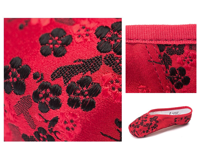 Chaussons Pointes Sansha avec broderies