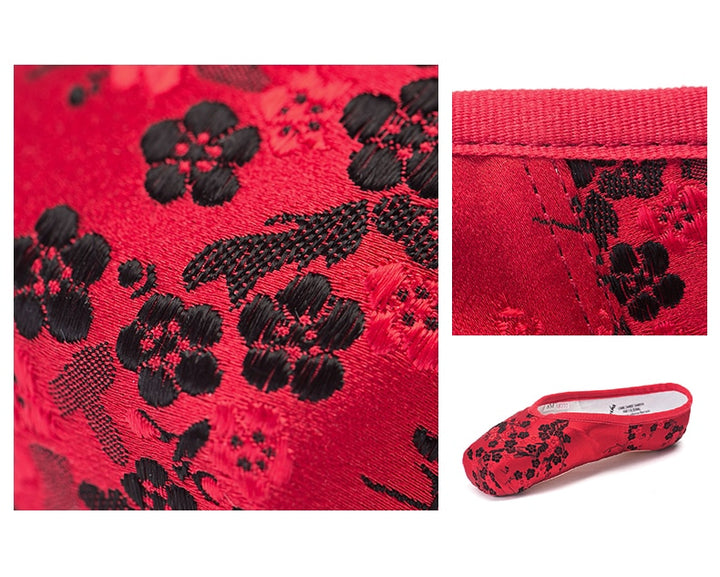 Chaussons Pointes Sansha avec broderies