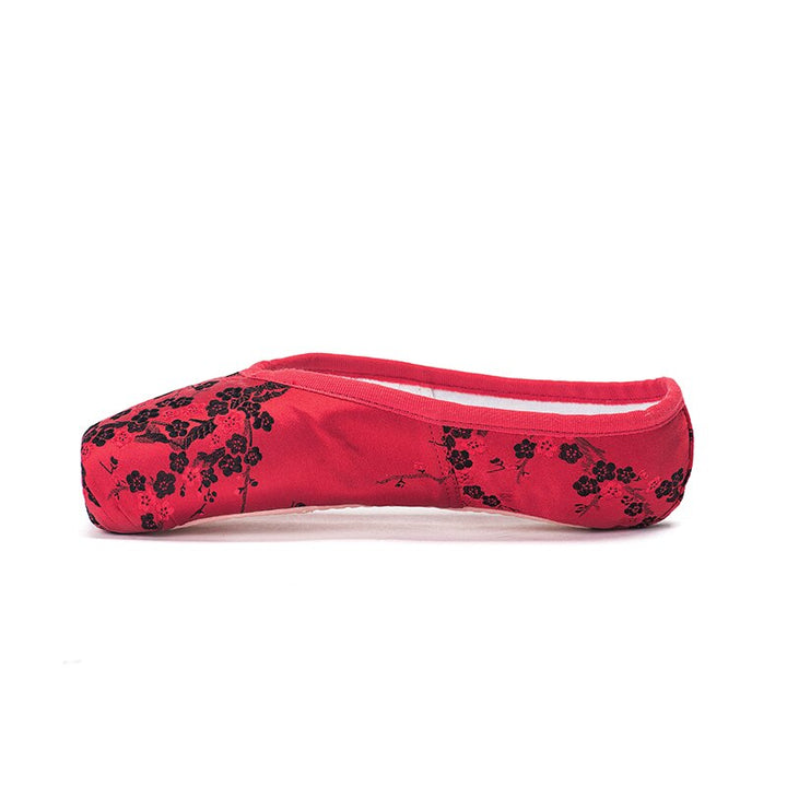Chaussons Pointes Sansha avec broderies
