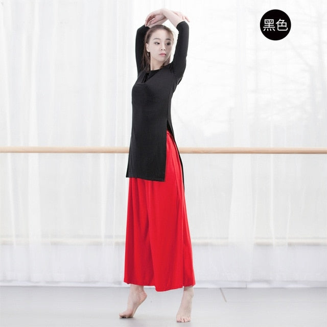 Top Haut Tunique manches longues pour adulte 12 coloris au choix - Dance Store