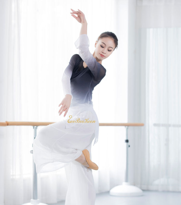 Tunique manches longues couleurs en dégradé 3 coloris au choix